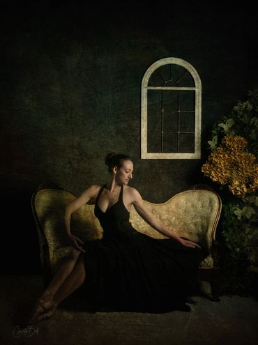 CBellPhotos Artist Circle Studio Photographer Loudoun County Va
Ballet IMAGes. PPA CPP Fine Art