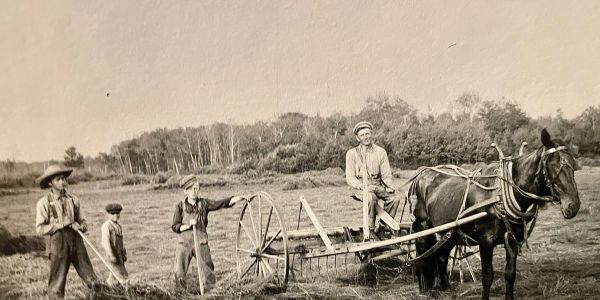 Vintage photo of four men with a horse and farm equipment.