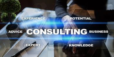 Small business consultant, business scale, consulting, midsize business advise.