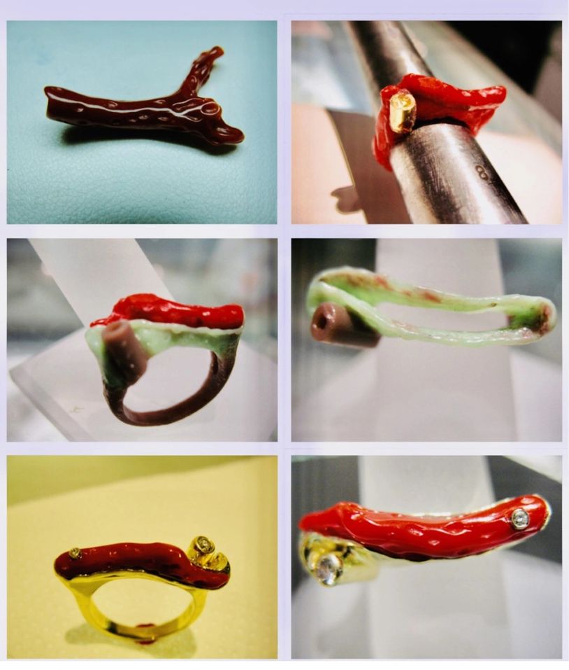 six-photo collage of chili-looking rings