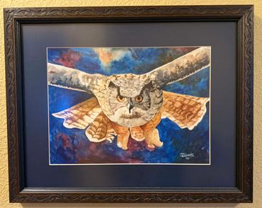 Great Horned Owl
Not For Sale
