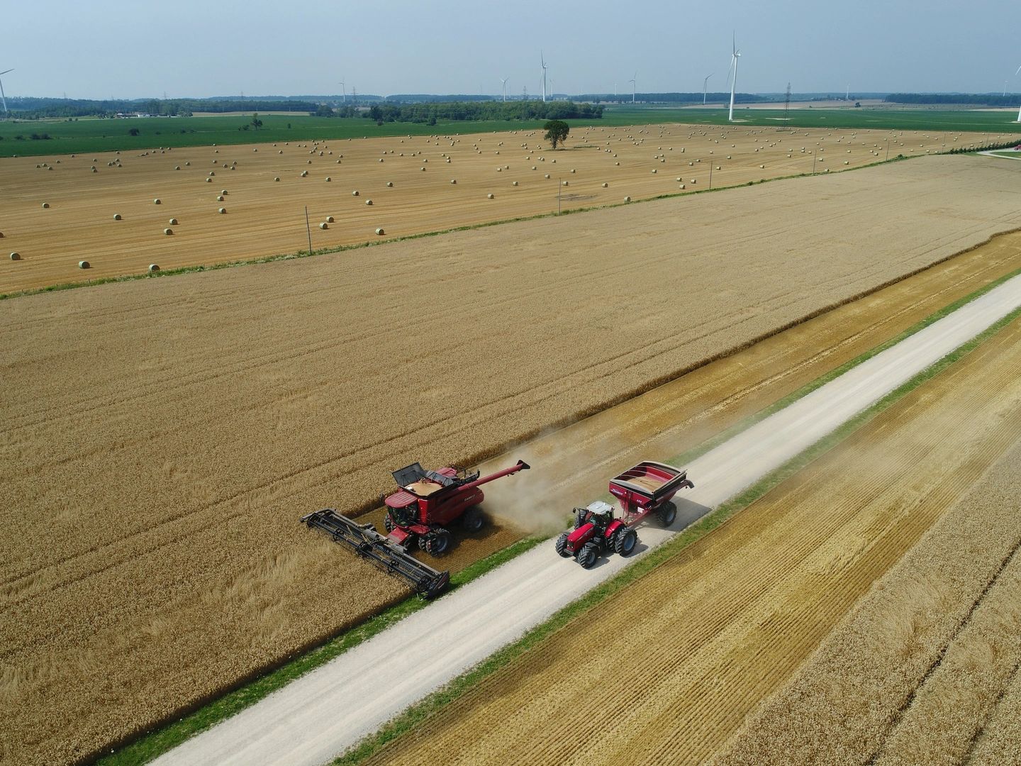 Dry Lawn Fertilizer BLUEWATER AGROMART