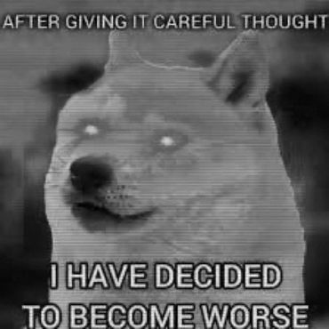 After giving it a careful thought, I have decided to become worse. Doge meme.