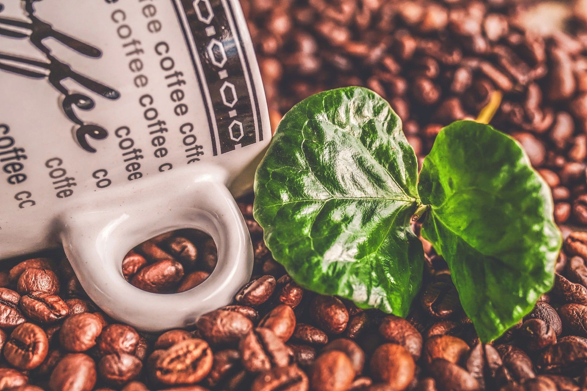 A coffee mug, a leaf, and coffee beans 