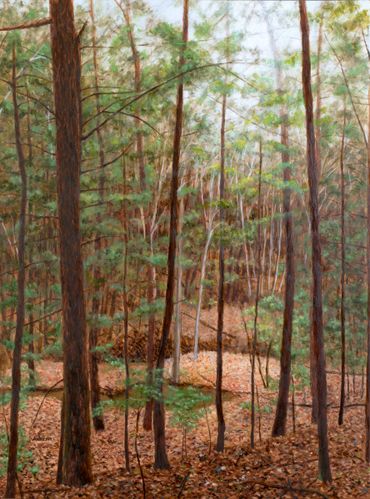 Painting of Bankhead National Forest
