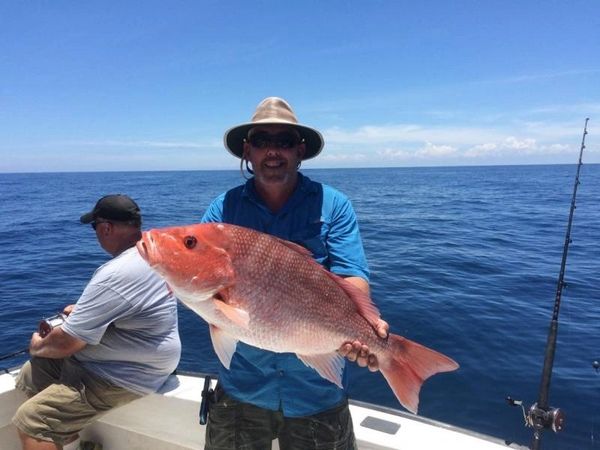 Red Snapper 