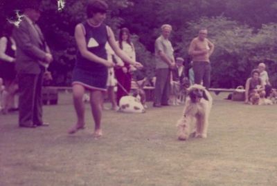 Brunette pictured handling one of the Afghans in 1969