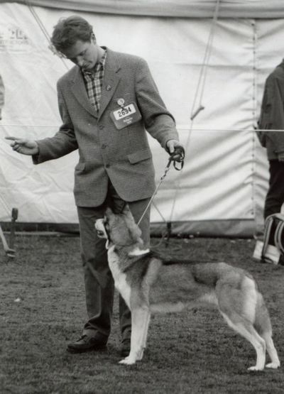 Ch Kazachye's Susitna From'A Rajarani