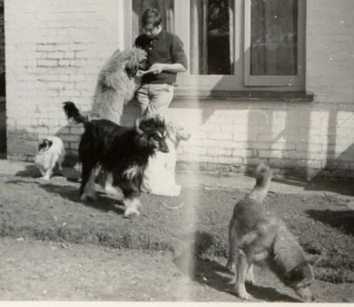 Frank with the Afghans