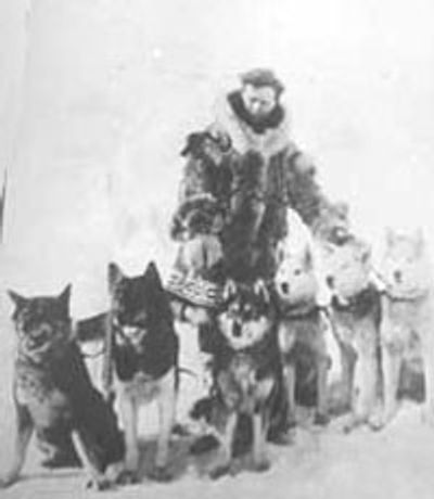 Leonhard Seppala with one of his teams.