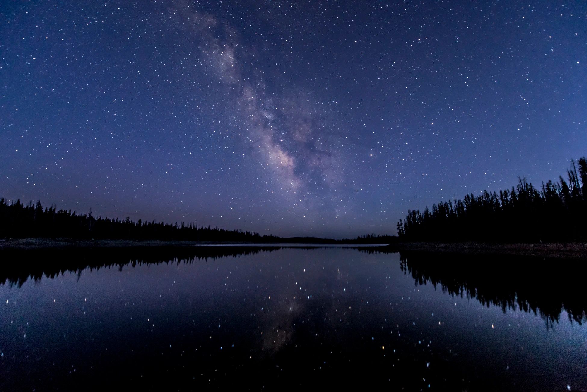 Silhouette of trees near body of water under stars- By Jackson Hendry