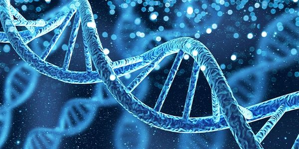 "Mobile DNA testing kit collection service"