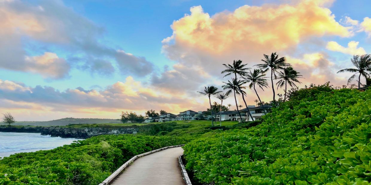 Boardwalk along lush greenery with palm trees and houses at sunset.