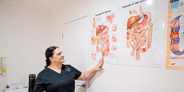 Medical professional explaining digestive system diagrams.