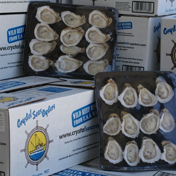 frozen IQF oysters 
