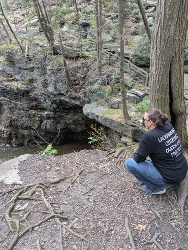 Nay Aug Park, Scranton