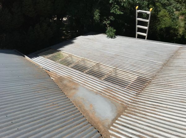 House roof and gutters cleaned by  professional