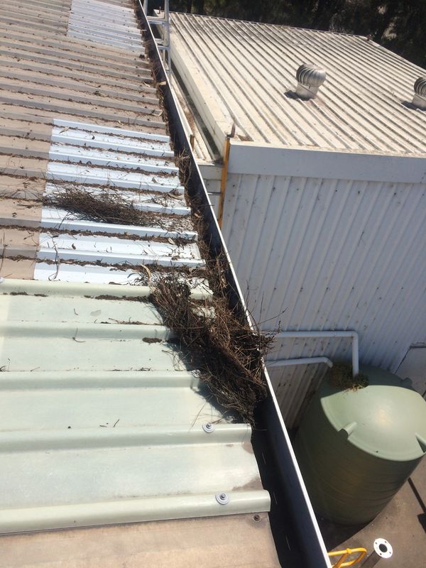 Gutter cleaning commercial building