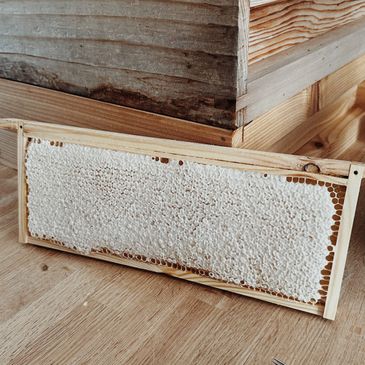 Wooden frame filled with capped honeycomb from a beehive.