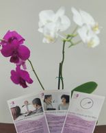 Do your end of year fertility check, Check out our New Services Section and Our Services.