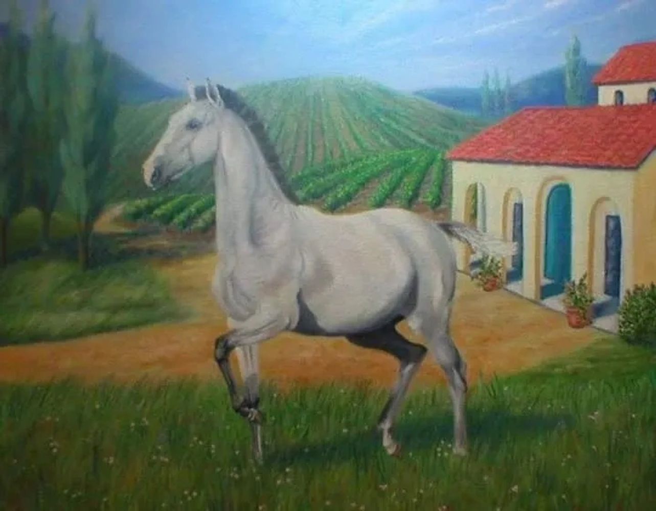 "Andalusian Freedom" 20" x 16" Oil on Canvas