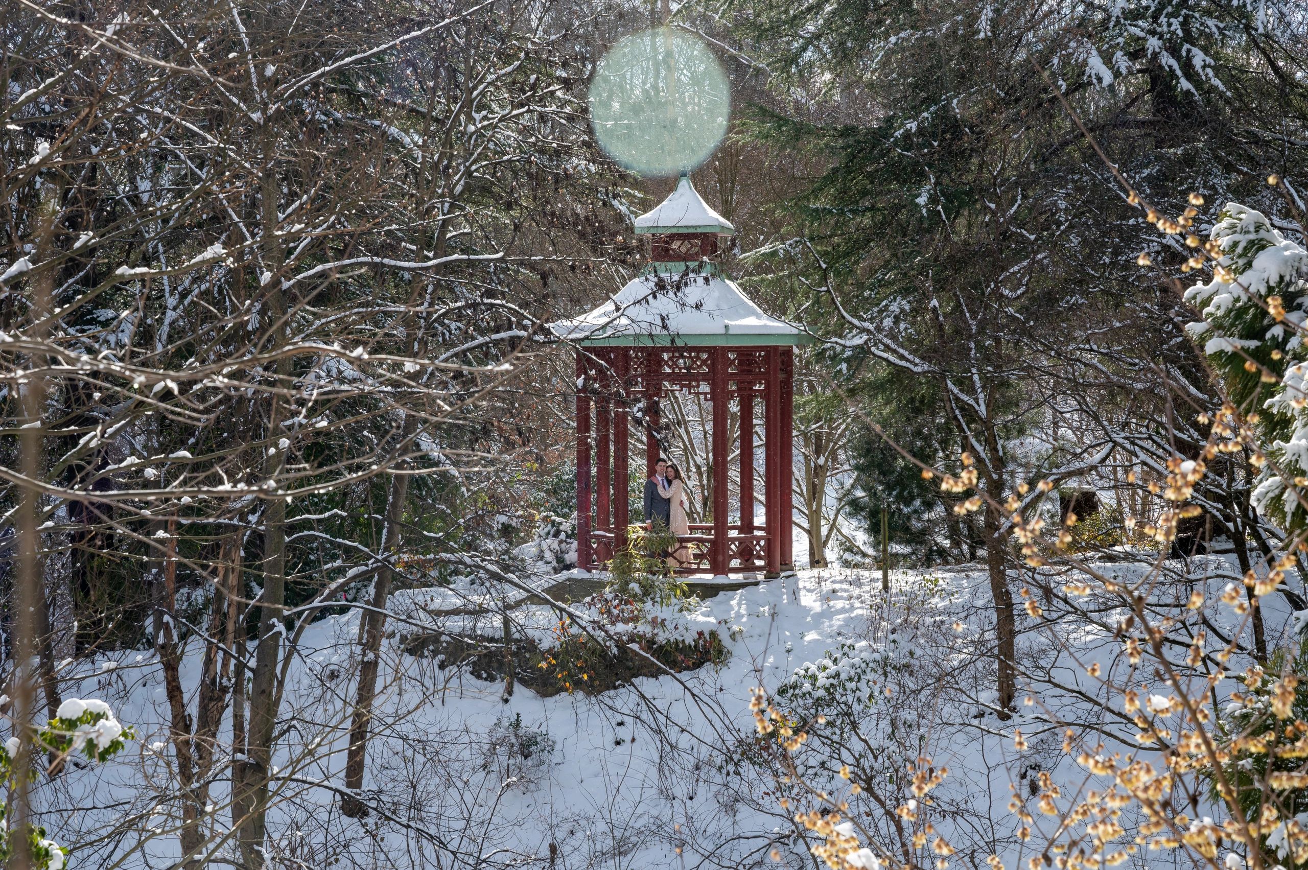 Winter Wonderland
-
Arboretum
Washington, DC