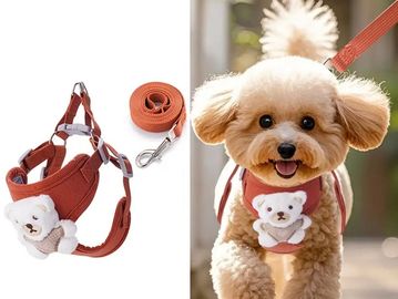 A cute dog wearing a teddy bear harness and leash set.