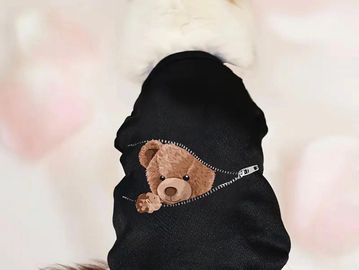 A white dog wearing a black hoodie with a teddy bear design on the back.