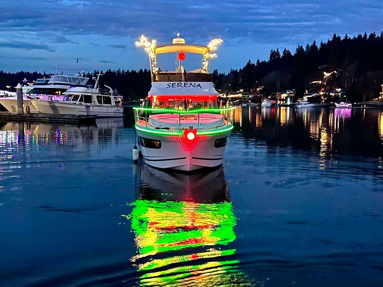 Christmas Light Tours