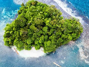 Aerial view of a lush, green island surrounded by clear blue waters and coral reefs.