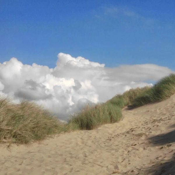 Borth sand dunes at Family holiday cottages mid wales