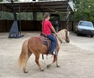 A girl in a red shirt rides a small horse in a driveway.