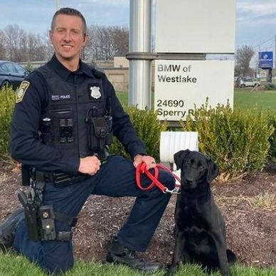 Police officer and working dog k9 labrador retriever therapy dog tracking dog