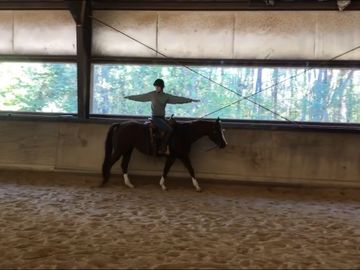 Rider performing exercises on their horse