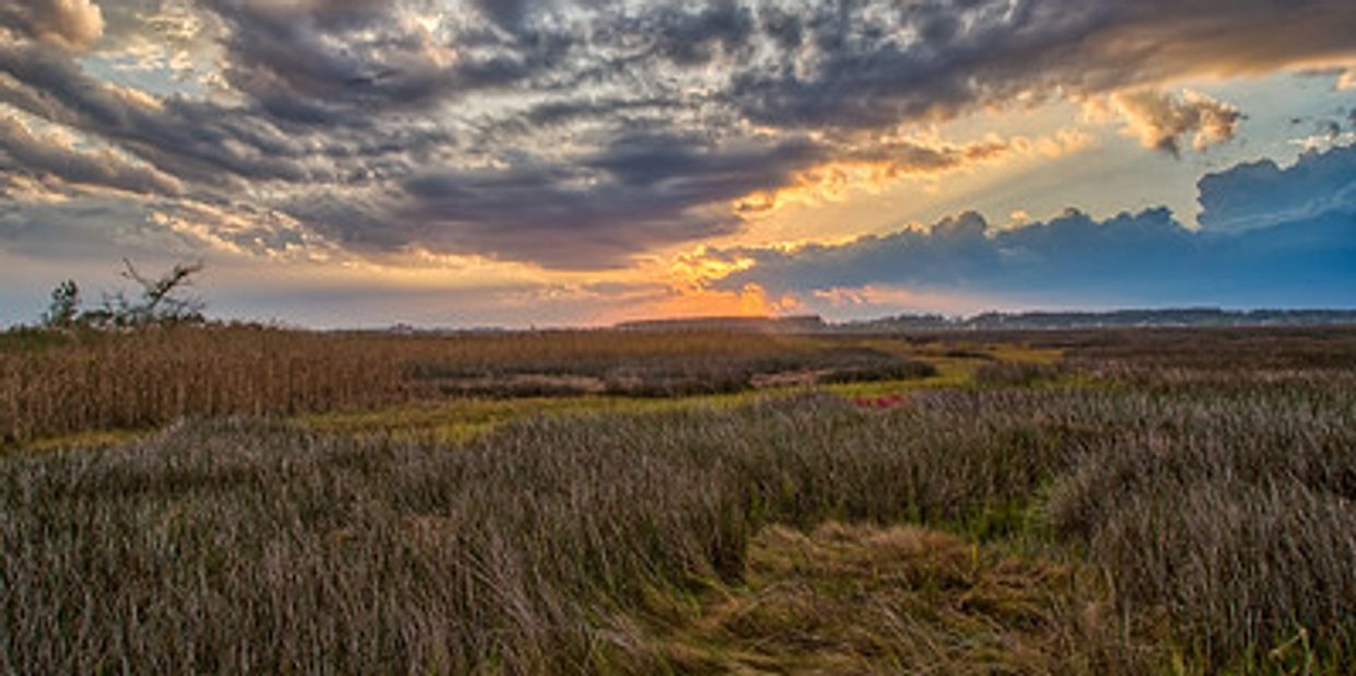 Sunset across the marsh in Poquoson VA.