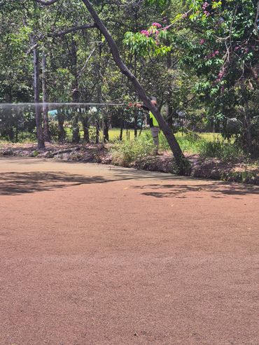 Duckweed weed treating