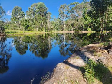 How good is this after the duckweed weed and Salvinia treatment