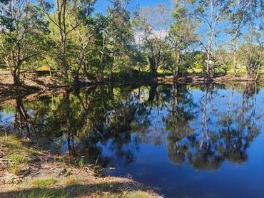 After Duck weed, Salvinia treatment.