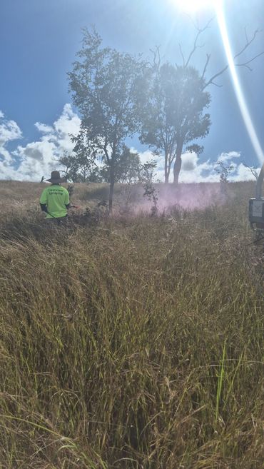Targeted hand spraying, Weed Spraying, Lantana, Wattle, Eucalyptus