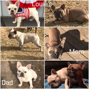 Louie's parents