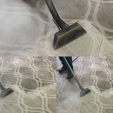 Carpet being professionally cleaned with a steam cleaner.