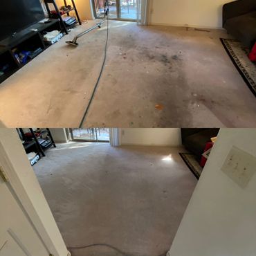Living room carpet before and after cleaning, showing significant improvement.