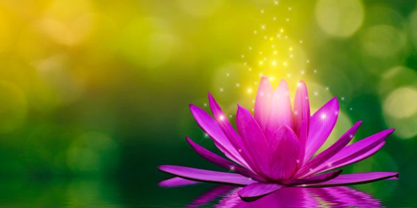 A glowing pink lotus flower on water with sparkling light.