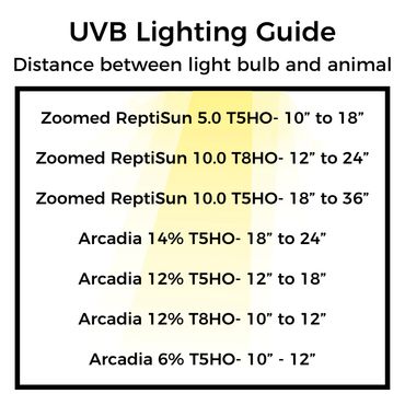 uvb lighting guide