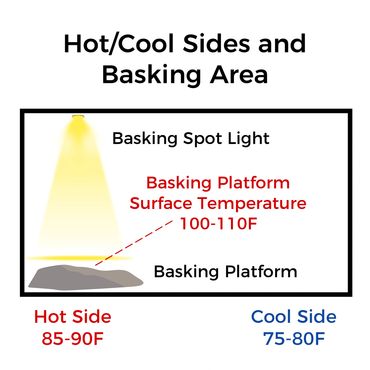 hod and cool sides and basking area