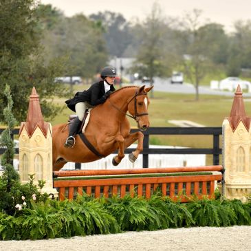 Equestrian rider jumping over an obstacle.
