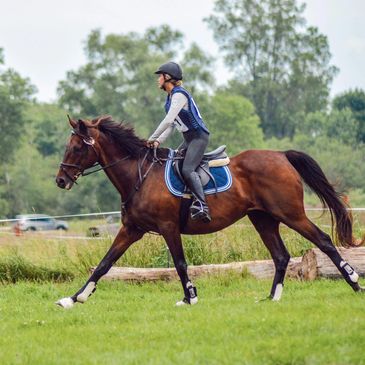 Person riding a brown horse outdoors.
