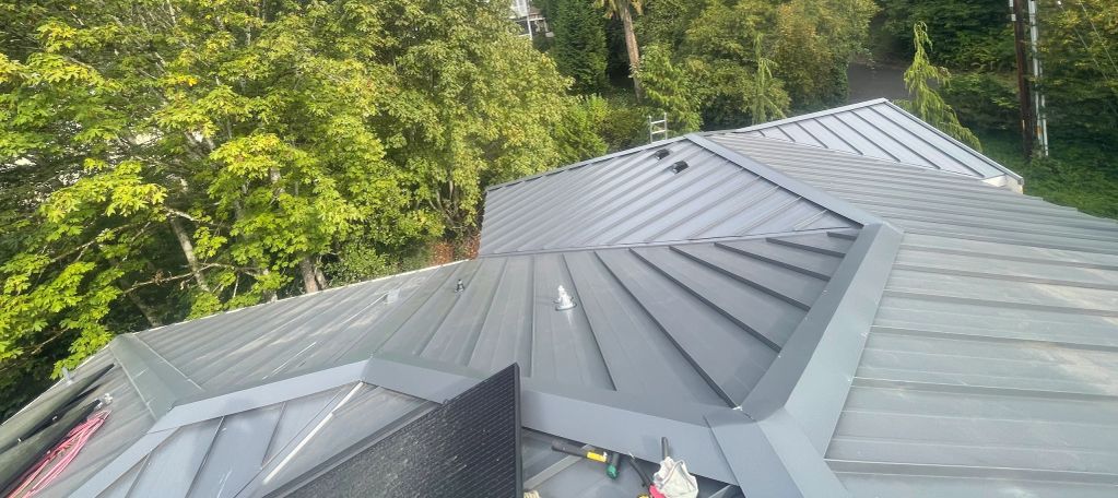 Gray metal roof panels with surrounding greenery.
