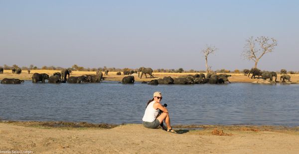 Darcie sitting in front of wading elephants on safari in Hwange National Park, Zimbabwe.
