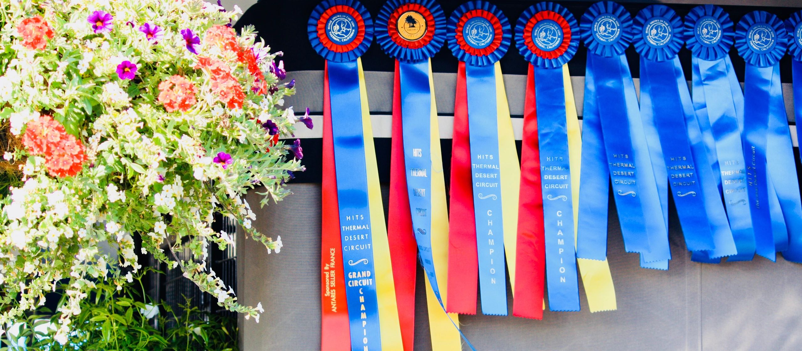 Ever Wood Stables Horseback Riding Lessons, Stables